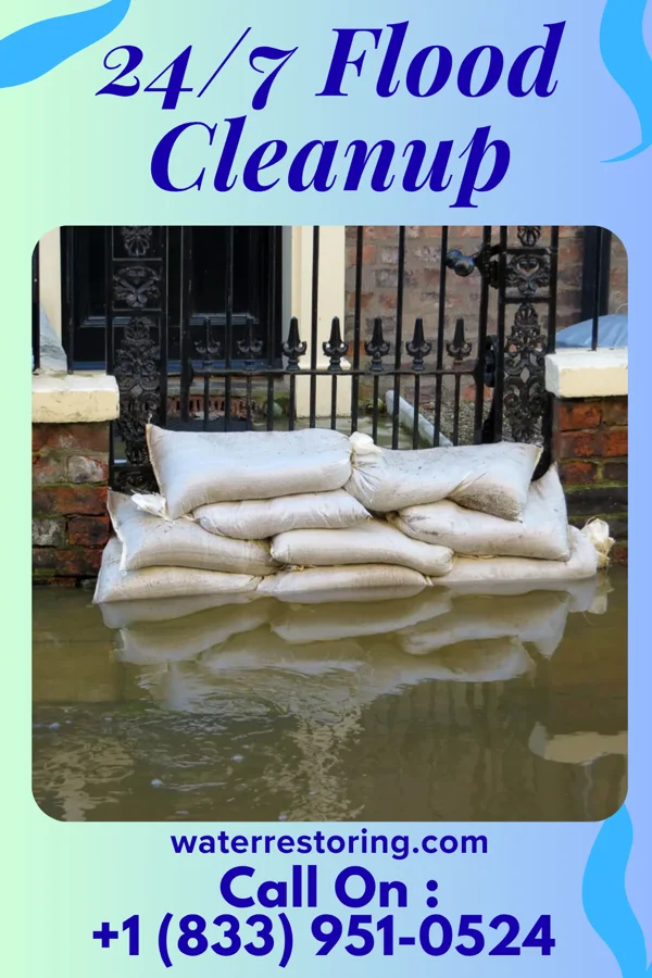 24/7 Flood Cleanup in Luttrell, TN