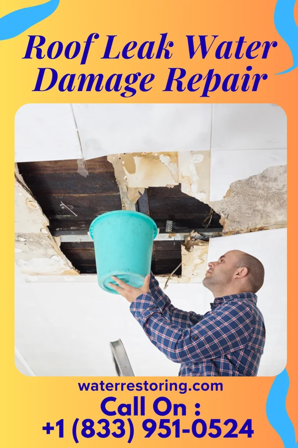 Roof Leak Water Damage Repair in Luttrell, TN