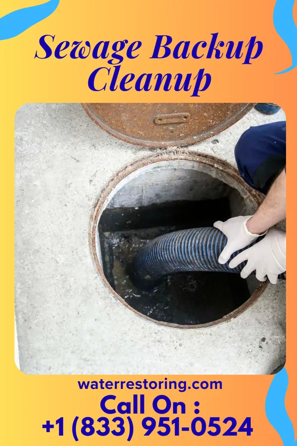 Sewage Backup Cleanup in Luttrell, TN